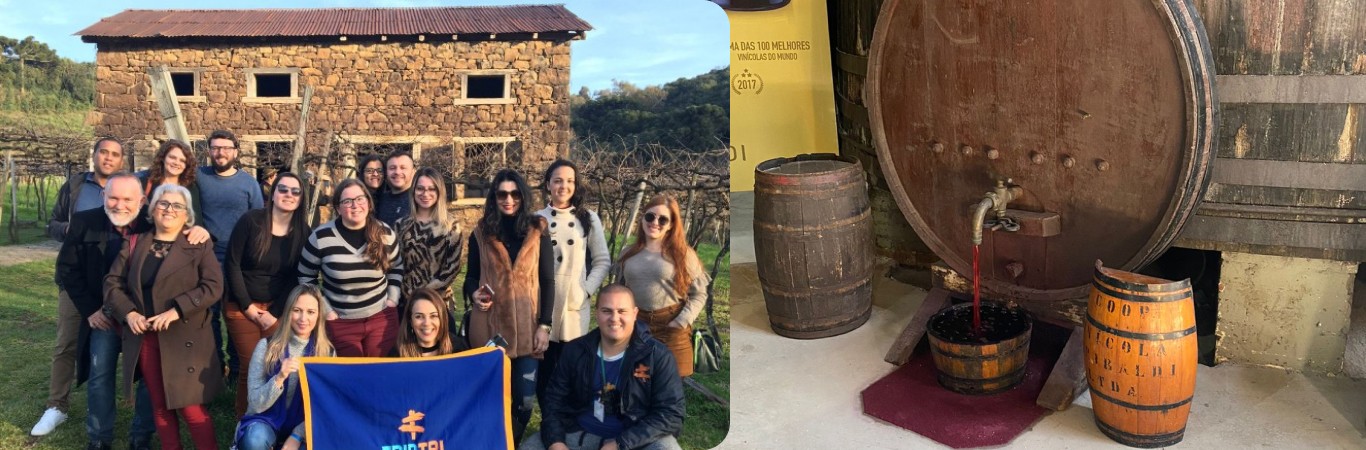 Queijos, Vinhos e Espumantes - Bento, Garibaldi e Carlos Barbosa - Fenachamp.